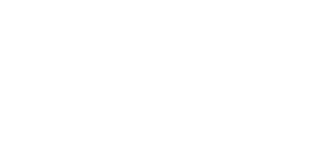 logo Racing Unleashed